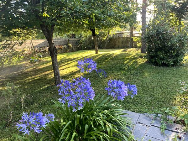 Maison de plain pied à vendre à Murs Erigné à deux pas du centre commercial Hyper U, 4 chambres et un beau terrain arboré