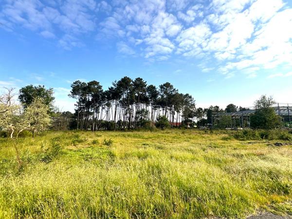 Bâtiment industriel neuf sur plan 800m2 Audenge