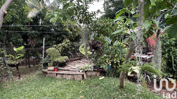 Maison à vendre 4 pièces 73 m² L'Étang-Salé