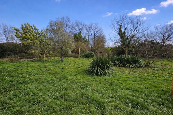 Longère 3 chambres 150m² MESANGER