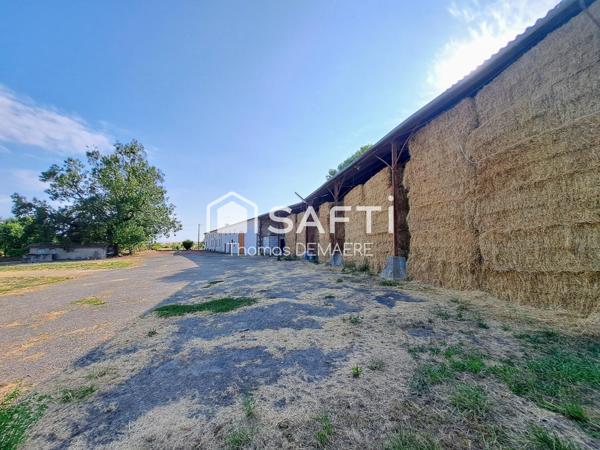Longère charentaise, 500 m² dépendances, 7000m² de terrain