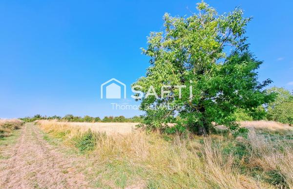 Longère charentaise, 500 m² dépendances, 7000m² de terrain