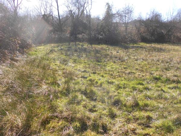 Terrain à vendre POUEYFERRE (65)