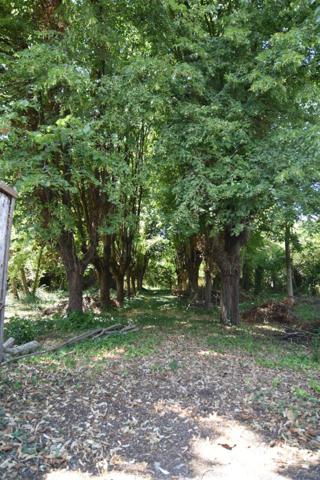 Un écrin de verdure à bâtir au cœur de Joigny