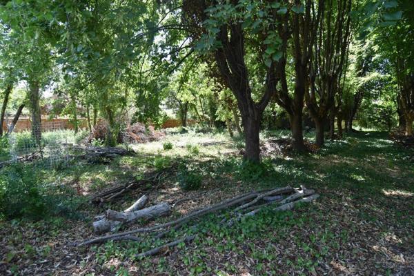 Un écrin de verdure à bâtir au cœur de Joigny