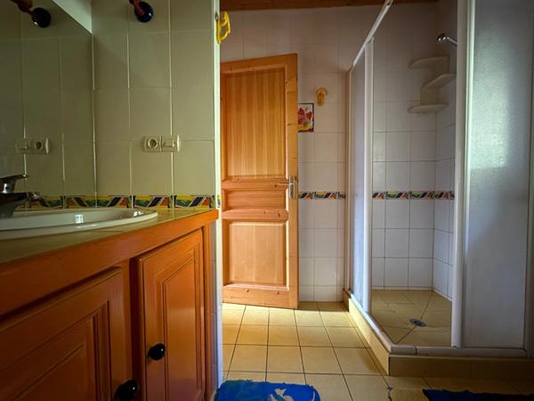 Chalet meublé 12 couchages à 5 minutes de Saint Lary Soulan (65) + T2 aménageable