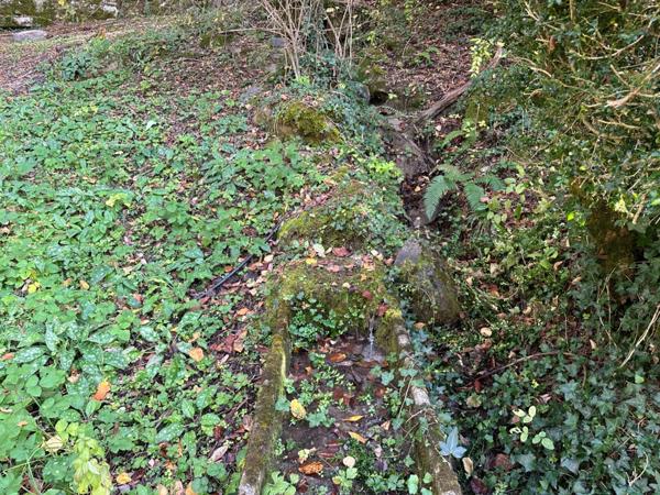 Chalet meublé 12 couchages à 5 minutes de Saint Lary Soulan (65) + T2 aménageable