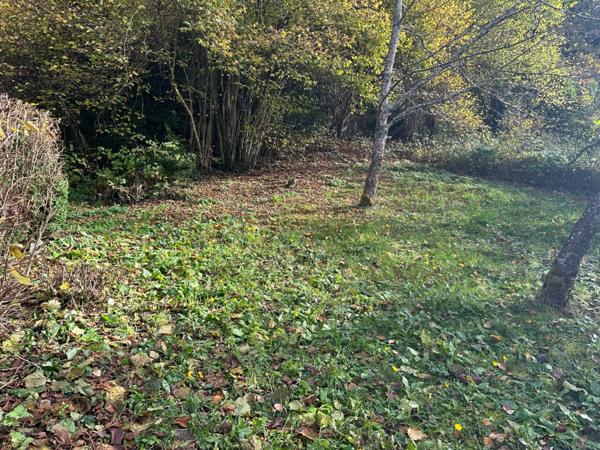 Chalet meublé 12 couchages à 5 minutes de Saint Lary Soulan (65) + T2 aménageable