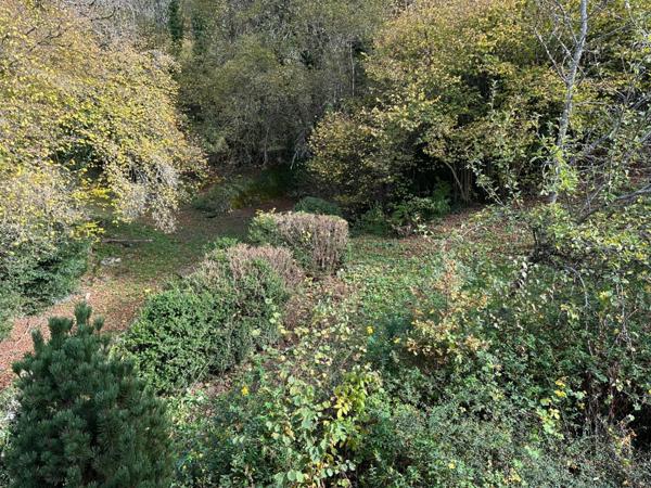 Chalet meublé 12 couchages à 5 minutes de Saint Lary Soulan (65) + T2 aménageable