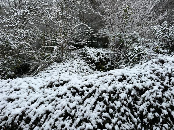 Chalet meublé 12 couchages à 5 minutes de Saint Lary Soulan (65) + T2 aménageable