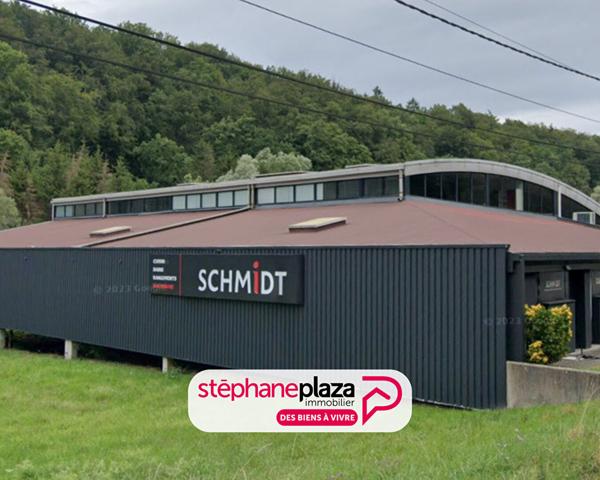 Local commercial 5 pièces 1687.66 m2