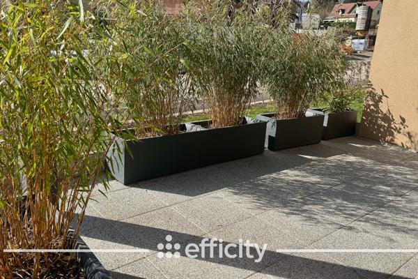 Appartement 4 pièces - 81 m² Exclusivité efficity