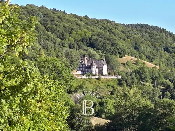 Aurillac, Manoir 11 Chambres -  500 m² à vendre