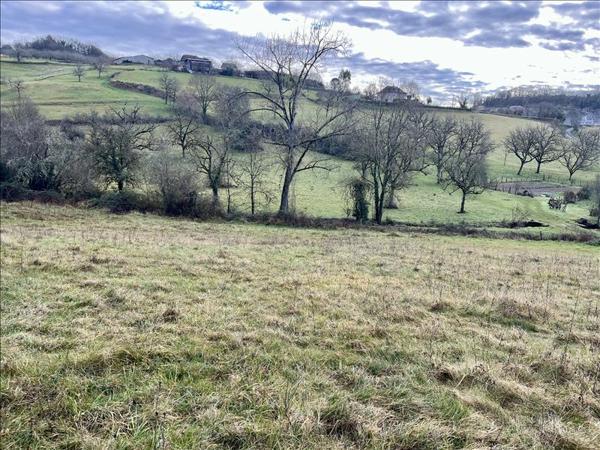 Terrain à vendre |  Meyssac |  3148 m²