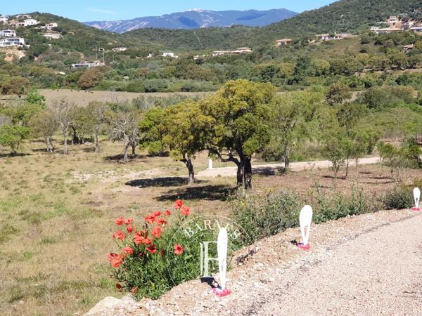 Sainte-Lucie-de-Porto-Vecchio, Terrain constructible  2 096 m² à vendre