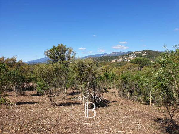 Sainte-Lucie-de-Porto-Vecchio, Terrain constructible  2 096 m² à vendre
