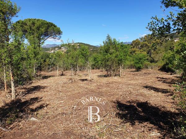 Sainte-Lucie-de-Porto-Vecchio, Terrain constructible  2 096 m² à vendre