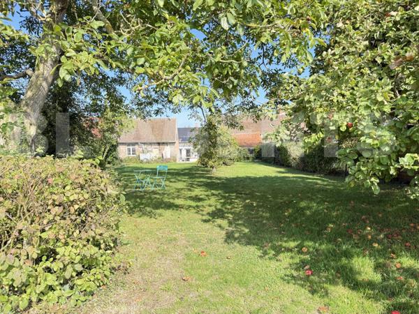 Longère 164 m² – Vieux-Berquin (Hameau prisé de Sec-Bois)