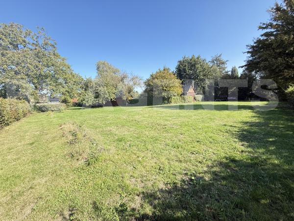 Longère 164 m² – Vieux-Berquin (Hameau prisé de Sec-Bois)