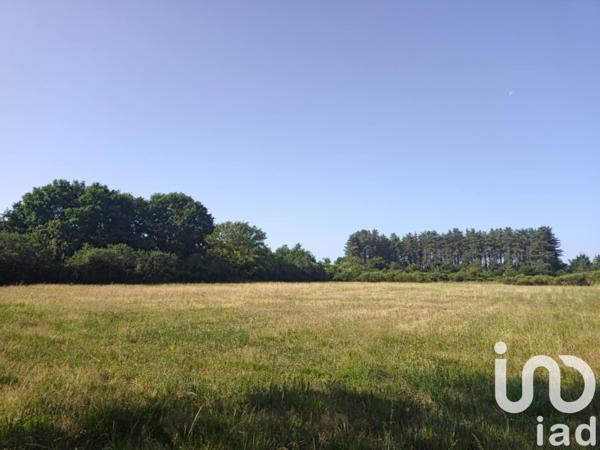Terrain à vendre 6 110 m² Ouzouer-sur-Loire