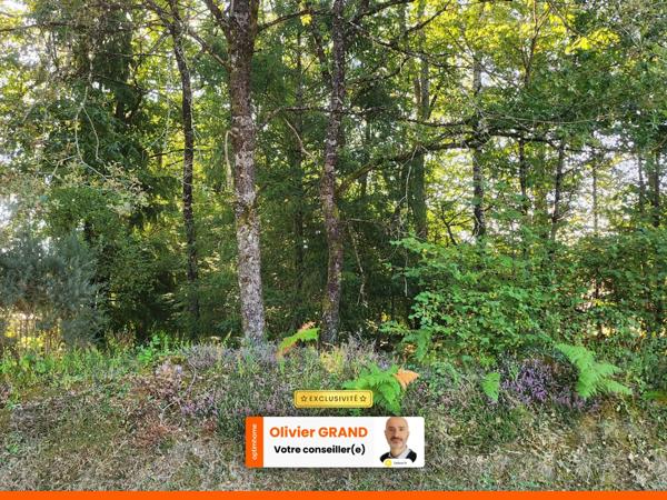 TERRAIN 1245M² - ENVIRONNEMENT CAMPAGNE - CALME