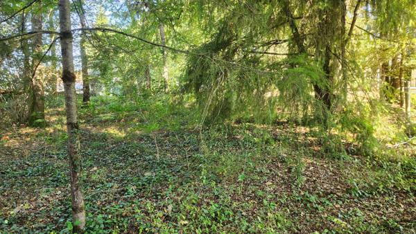 TERRAIN 1245M² - ENVIRONNEMENT CAMPAGNE - CALME