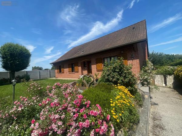 Achat - Maison | Maison individuelle Hernicourt 62130 5 pièces 196 m 2 1861 m 2
