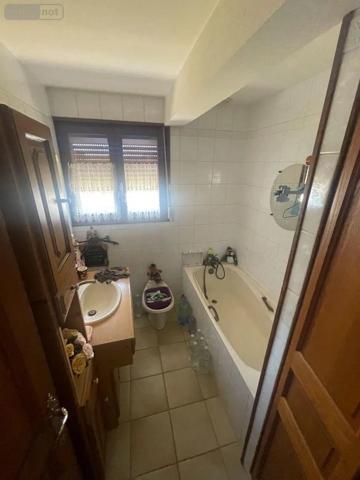 Achat - Maison | Maison individuelle Hernicourt 62130 5 pièces 196 m 2 1861 m 2