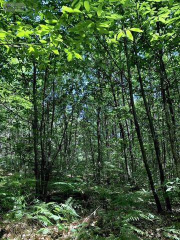 Achat - Terrain de loisirs, bois, étangs Malicorne-sur-Sarthe 72270 13320 m 2