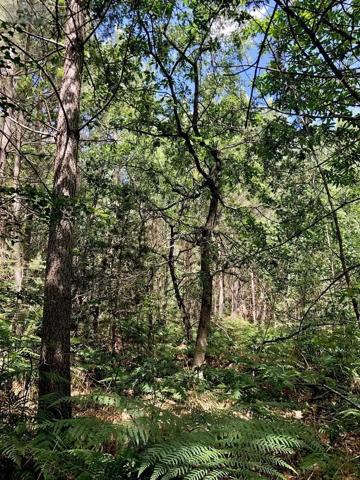 Achat - Terrain de loisirs, bois, étangs Malicorne-sur-Sarthe 72270 13320 m 2