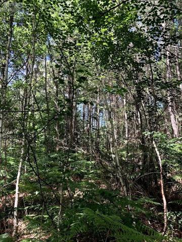 Achat - Terrain de loisirs, bois, étangs Malicorne-sur-Sarthe 72270 13320 m 2