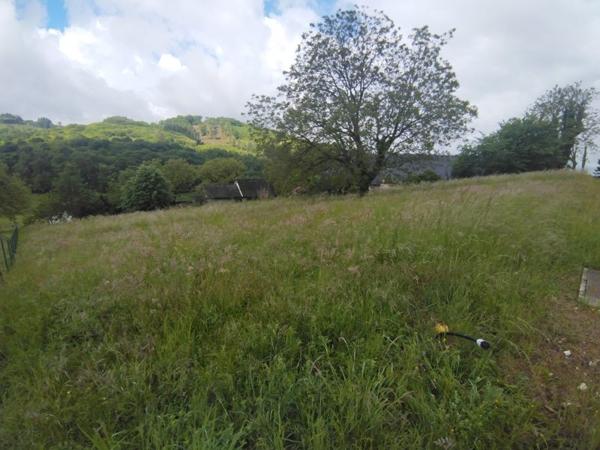 Terrain à vendre 20 000 € Sainte-Fortunade 2275 m² DPE