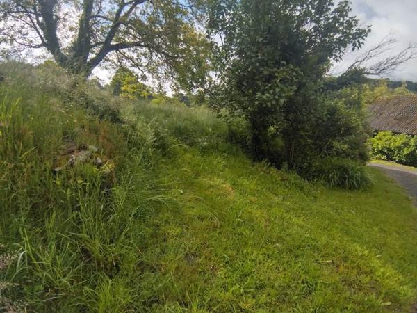 Terrain à vendre 20 000 € Sainte-Fortunade 2275 m² DPE