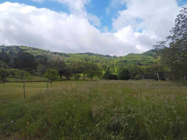 Terrain à vendre 20 000 € Sainte-Fortunade 2275 m² DPE