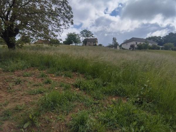 Terrain à vendre 20 000 € Sainte-Fortunade 2275 m² DPE