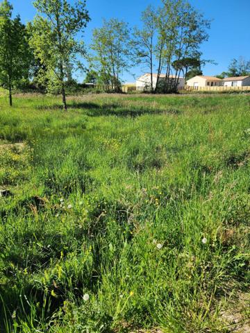 Terrain constructible