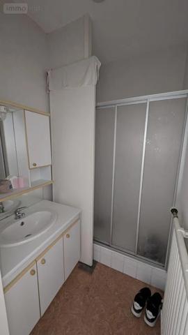 Achat - Immeuble Vichy 03200 588 m 2 415 m 2