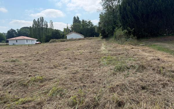 Terrain à vendre