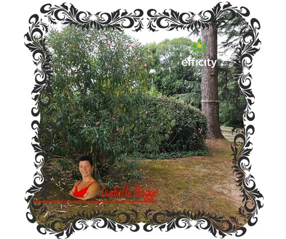 Appartement 3 pièces - 82 m²