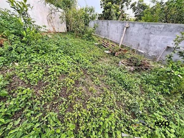 Maison créole à L'Étang-Salé – Emplacement privilégié et fort potentiel