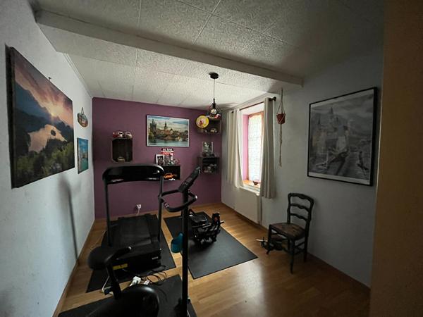 Maison familiale au calme avec grand jardin et dépendance à Méon