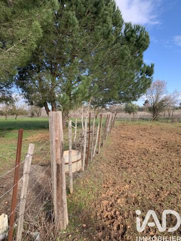 Terrain à vendre 3 863 m² Aimargues
