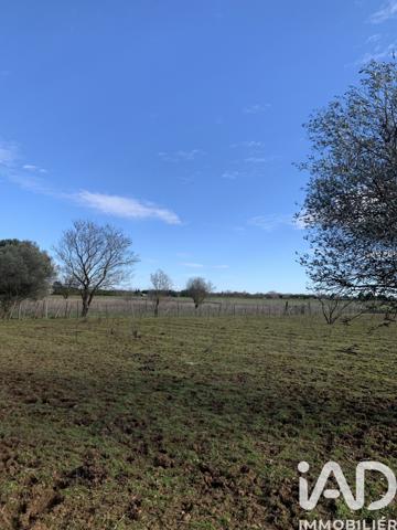Terrain à vendre 3 863 m² Aimargues