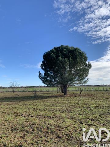 Terrain à vendre 3 863 m² Aimargues