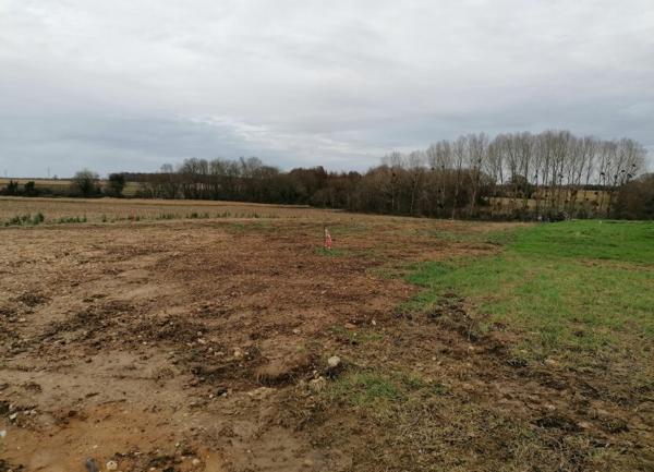 Terrain à vendre    Champagne