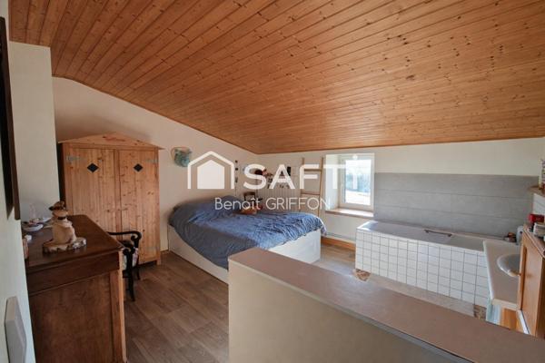 Maison de charme avec dépendances et grand terrain