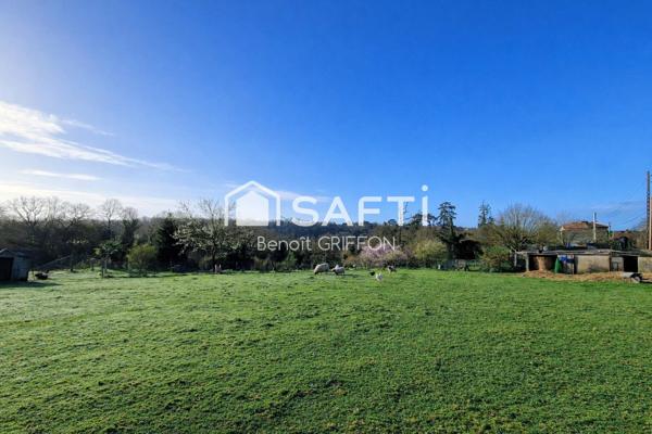 Maison de charme avec dépendances et grand terrain