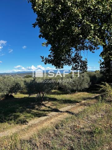 À Oraison, laissez-vous séduire par cette oliveraie et sa magnifique vue sur la vallée de la Durance
