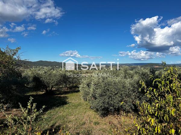 À Oraison, laissez-vous séduire par cette oliveraie et sa magnifique vue sur la vallée de la Durance