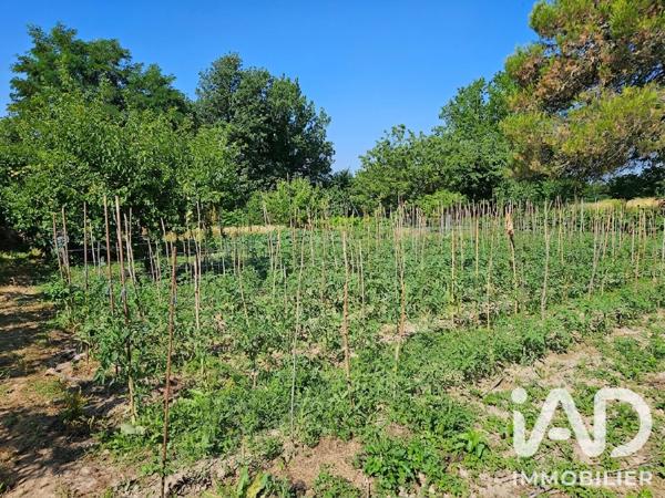 Maison à vendre 8 pièces 155 m² Castelsarrasin